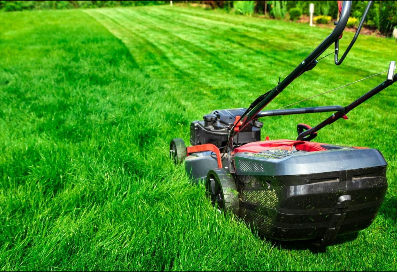 landscapers.jpg
