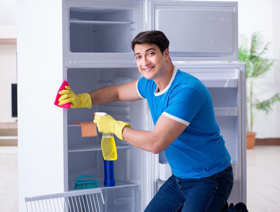 appliance cleaning
