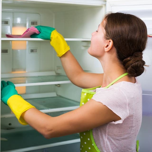 refrigerator cleaning