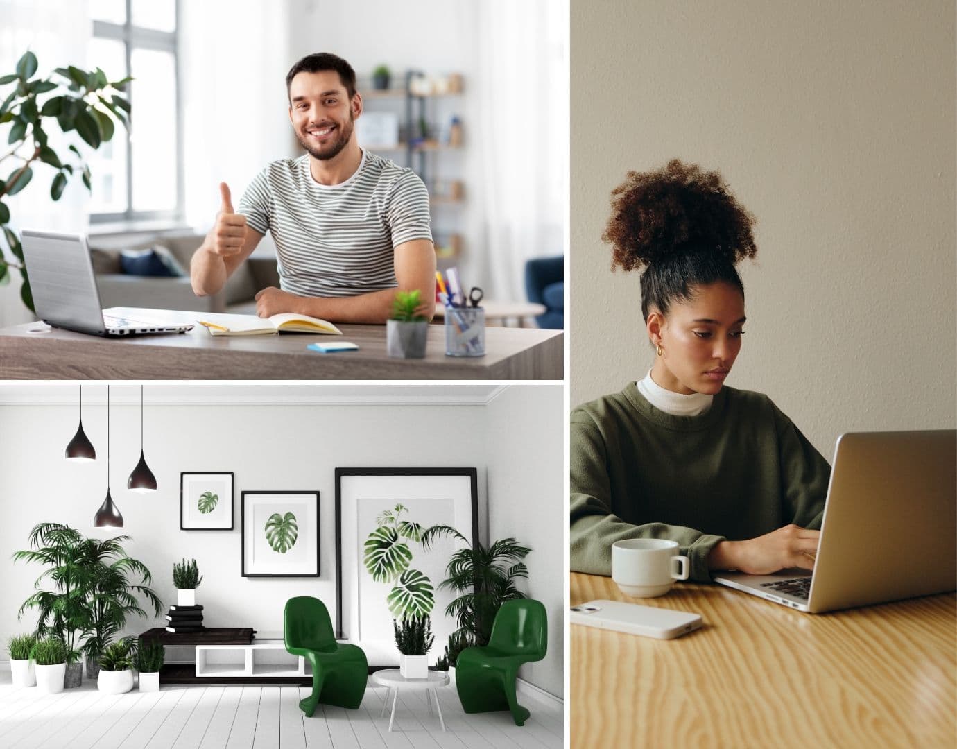 home-professional-booking